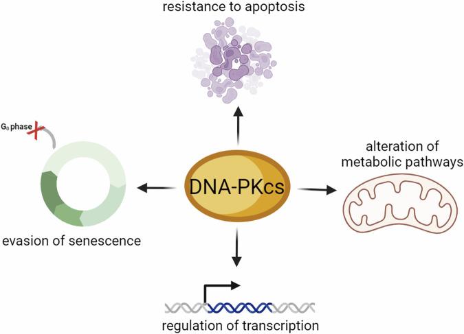 https://cdn.ncbi.nlm.nih.gov/pmc/blobs/fd1c/11266574/270b44728919/41698_2024_655_Fig8_HTML.jpg
