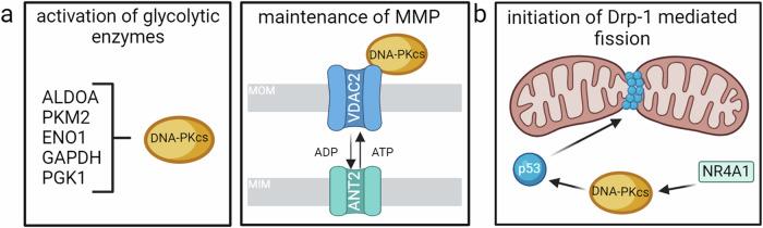 https://cdn.ncbi.nlm.nih.gov/pmc/blobs/fd1c/11266574/4bdee331de44/41698_2024_655_Fig4_HTML.jpg
