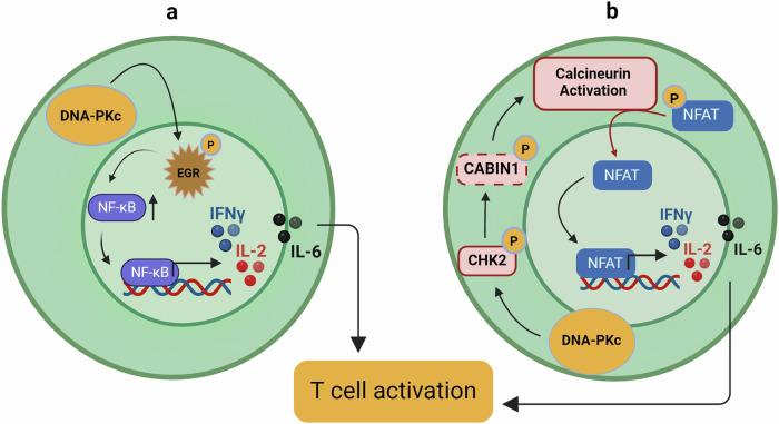 https://cdn.ncbi.nlm.nih.gov/pmc/blobs/fd1c/11266574/b119cc81f32c/41698_2024_655_Fig5_HTML.jpg
