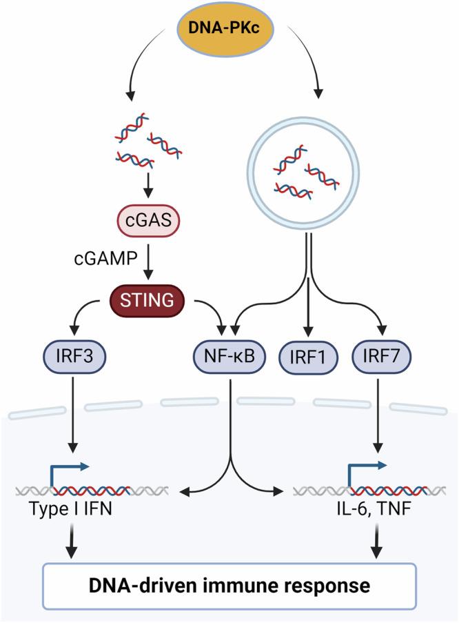 https://cdn.ncbi.nlm.nih.gov/pmc/blobs/fd1c/11266574/d70a81ee9516/41698_2024_655_Fig7_HTML.jpg
