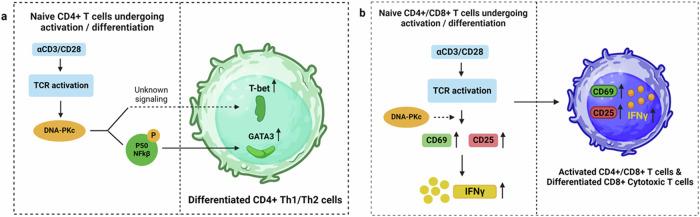 https://cdn.ncbi.nlm.nih.gov/pmc/blobs/fd1c/11266574/e694e89d08e7/41698_2024_655_Fig6_HTML.jpg