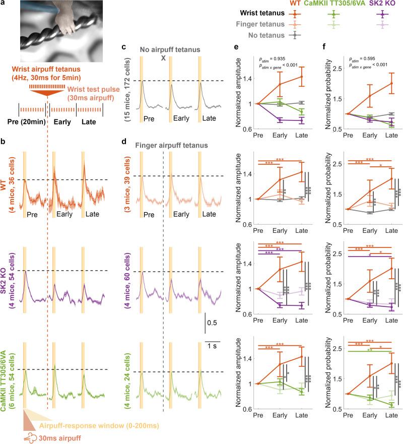 https://cdn.ncbi.nlm.nih.gov/pmc/blobs/fd1d/11143328/6c4f82d17b6c/41467_2024_48373_Fig7_HTML.jpg