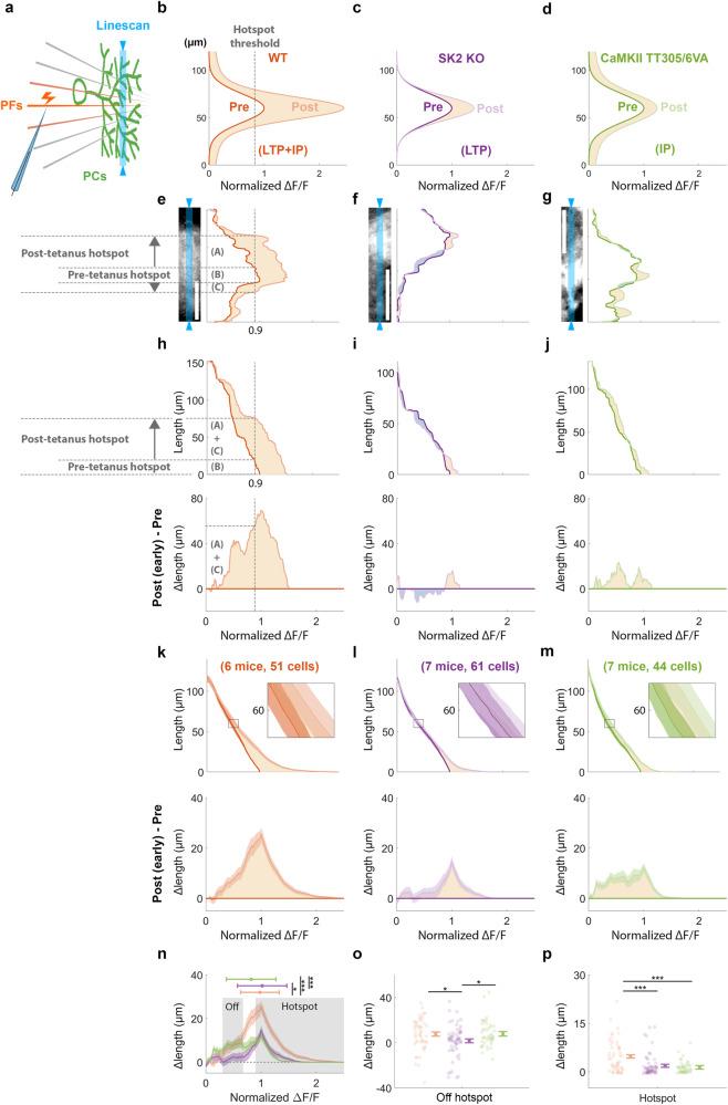 https://cdn.ncbi.nlm.nih.gov/pmc/blobs/fd1d/11143328/ad1dfe23d643/41467_2024_48373_Fig4_HTML.jpg