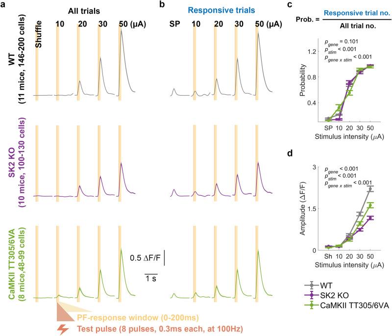 https://cdn.ncbi.nlm.nih.gov/pmc/blobs/fd1d/11143328/bd9de583a590/41467_2024_48373_Fig2_HTML.jpg