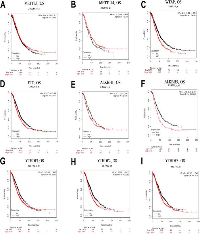 https://cdn.ncbi.nlm.nih.gov/pmc/blobs/fd1d/7791456/4a37790bb707/10.1177_1073274820960460-fig4.jpg