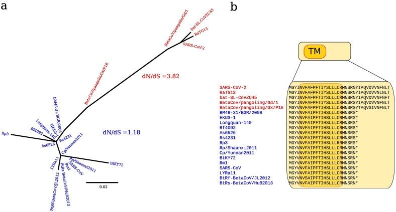 https://cdn.ncbi.nlm.nih.gov/pmc/blobs/fd1e/7199688/c0f9ed00c1a9/gr3_lrg.jpg