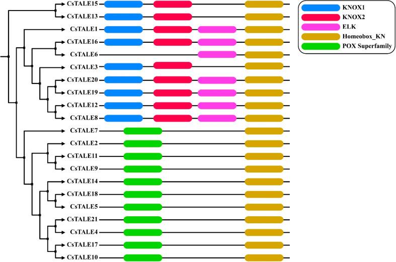 https://cdn.ncbi.nlm.nih.gov/pmc/blobs/fd1f/11179211/19a786d205f6/12870_2024_5274_Fig1_HTML.jpg