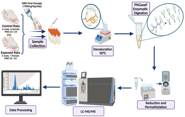 https://cdn.ncbi.nlm.nih.gov/pmc/blobs/fd20/11430009/3c6c9fa594ed/biomolecules-14-01077-g001.jpg