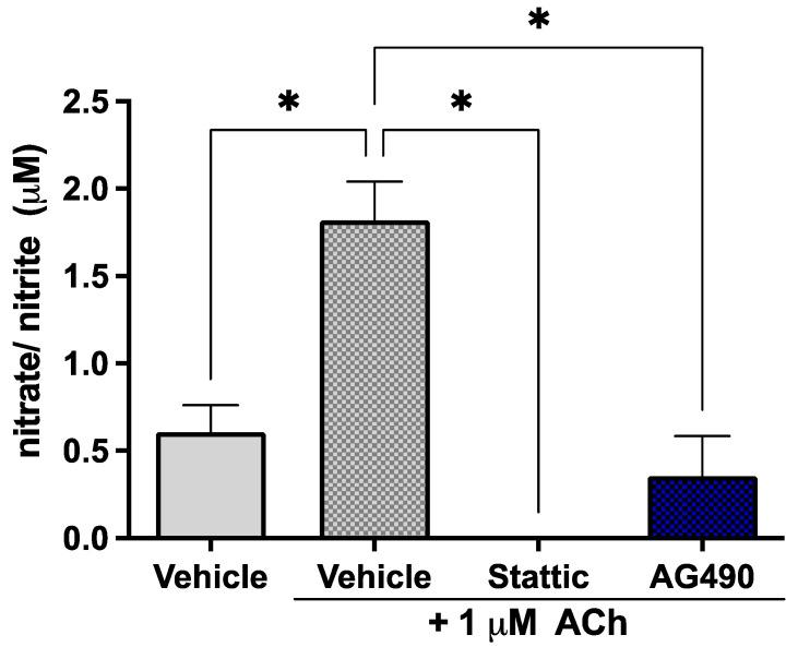 https://cdn.ncbi.nlm.nih.gov/pmc/blobs/fd20/9602684/4ff9cd029b51/ijms-23-12167-g003.jpg