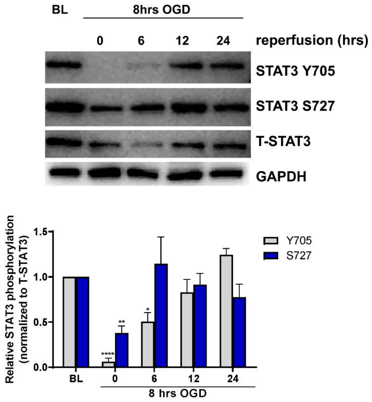 https://cdn.ncbi.nlm.nih.gov/pmc/blobs/fd20/9602684/da00c5be4895/ijms-23-12167-g001.jpg