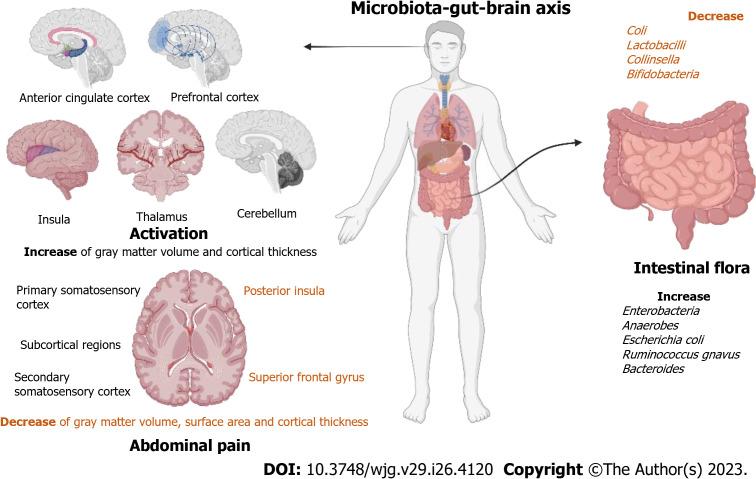 https://cdn.ncbi.nlm.nih.gov/pmc/blobs/fd22/10354571/b61c3cf8f369/WJG-29-4120-g003.jpg