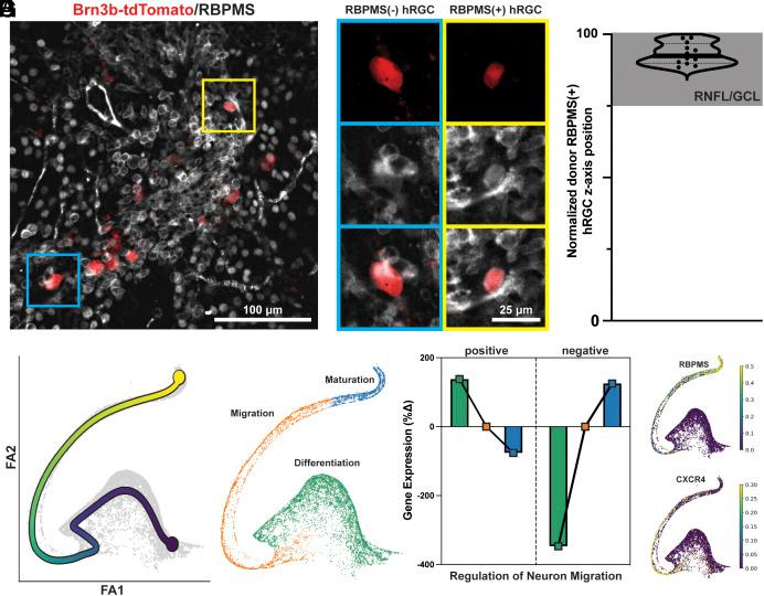 https://cdn.ncbi.nlm.nih.gov/pmc/blobs/fd26/10655587/33041735cbd7/pnas.2302089120fig05.jpg