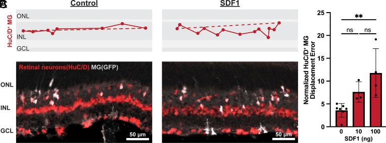 https://cdn.ncbi.nlm.nih.gov/pmc/blobs/fd26/10655587/fe5776abb159/pnas.2302089120fig07.jpg