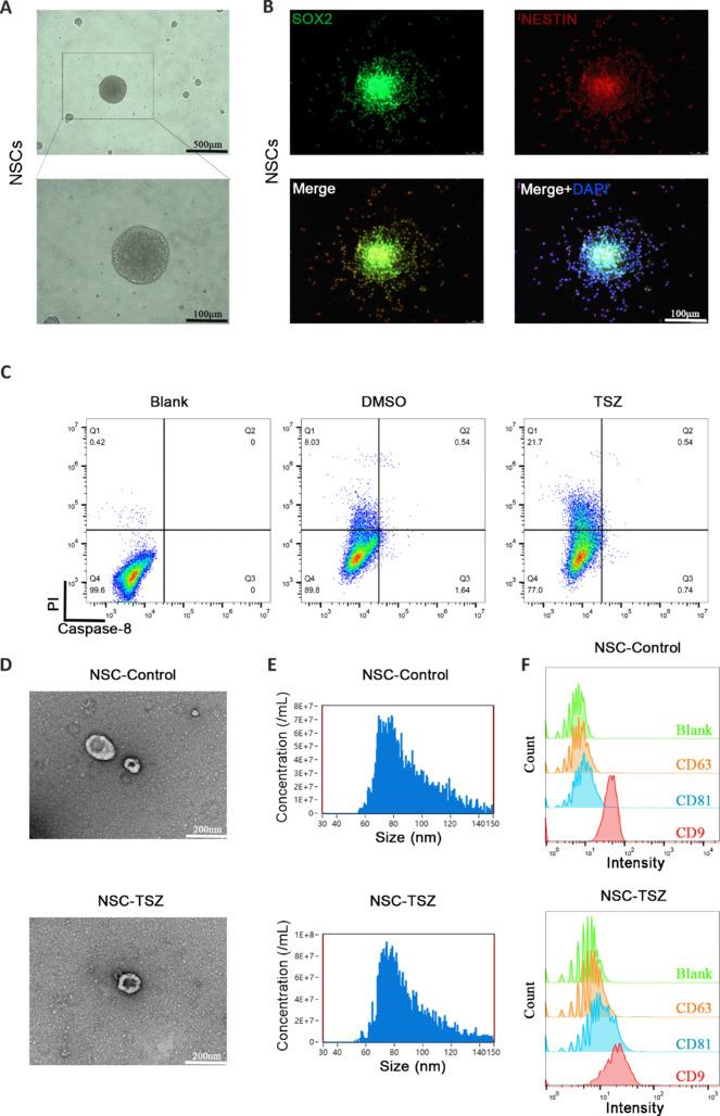 https://cdn.ncbi.nlm.nih.gov/pmc/blobs/fd26/11881710/3e7b439e4207/NRR-20-3273-g003.jpg