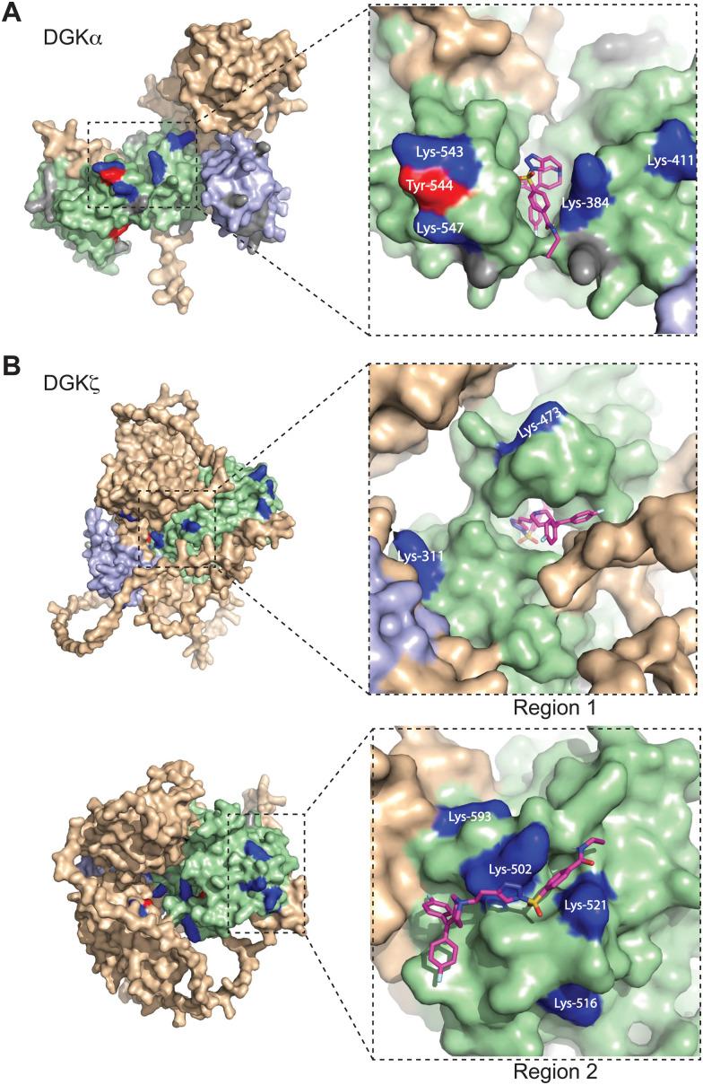 https://cdn.ncbi.nlm.nih.gov/pmc/blobs/fd2e/10246554/c7886c660b38/d3cb00057e-f3.jpg