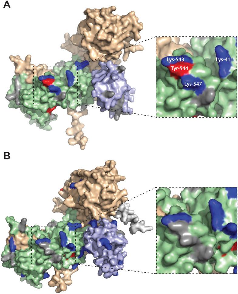 https://cdn.ncbi.nlm.nih.gov/pmc/blobs/fd2e/10246554/e883d52d2e5b/d3cb00057e-f5.jpg