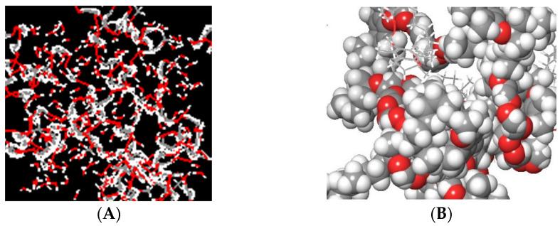 https://cdn.ncbi.nlm.nih.gov/pmc/blobs/fd2e/9313284/8897781e58c9/biomedicines-10-01470-g013.jpg