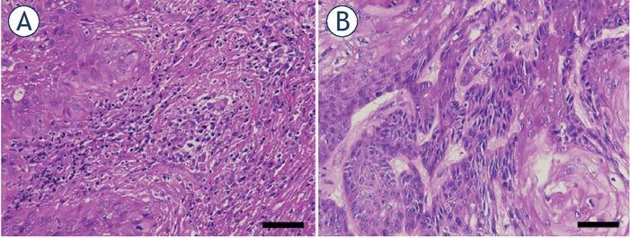https://cdn.ncbi.nlm.nih.gov/pmc/blobs/fd30/10039473/9c7fb3ffd4a6/raon-57-121-g002.jpg