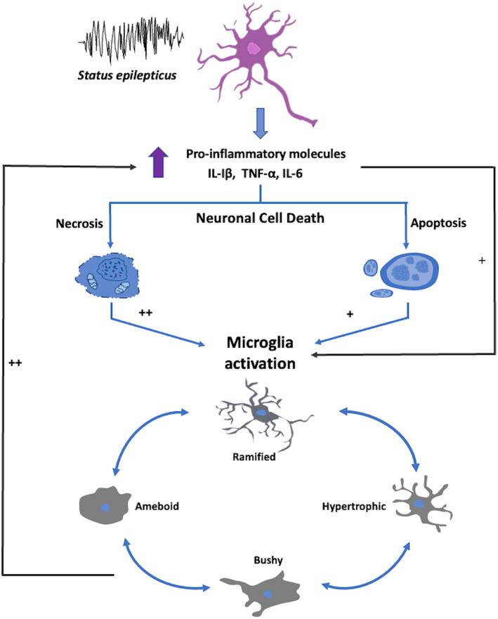 https://cdn.ncbi.nlm.nih.gov/pmc/blobs/fd33/10173848/866460a9511f/EPI4-8-S73-g001.jpg