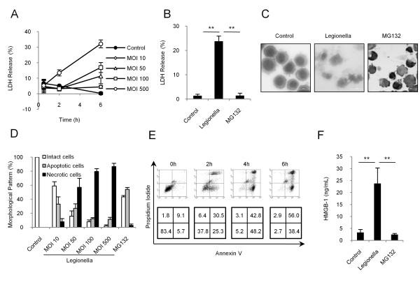 https://cdn.ncbi.nlm.nih.gov/pmc/blobs/fd33/3003236/86a61ee5f67b/1465-9921-11-158-1.jpg