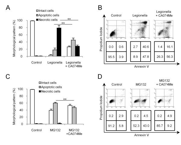 https://cdn.ncbi.nlm.nih.gov/pmc/blobs/fd33/3003236/8fb4febc8435/1465-9921-11-158-3.jpg