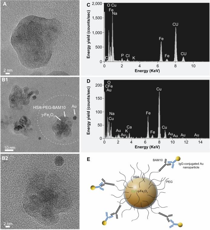 https://cdn.ncbi.nlm.nih.gov/pmc/blobs/fd37/3814992/59e6fdc490ba/ijn-8-4063Fig2.jpg