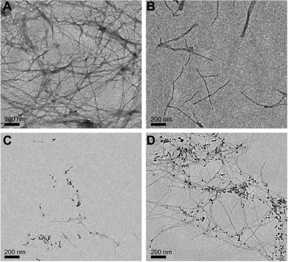 https://cdn.ncbi.nlm.nih.gov/pmc/blobs/fd37/3814992/afb9a9f039d7/ijn-8-4063Fig4.jpg