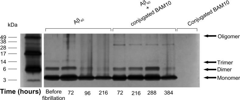 https://cdn.ncbi.nlm.nih.gov/pmc/blobs/fd37/3814992/e13707537590/ijn-8-4063Fig6.jpg