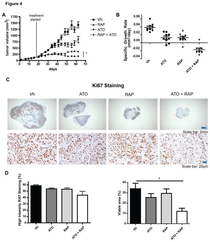 https://cdn.ncbi.nlm.nih.gov/pmc/blobs/fd3a/3877392/47975dac6dfe/pone.0085995.g004.jpg