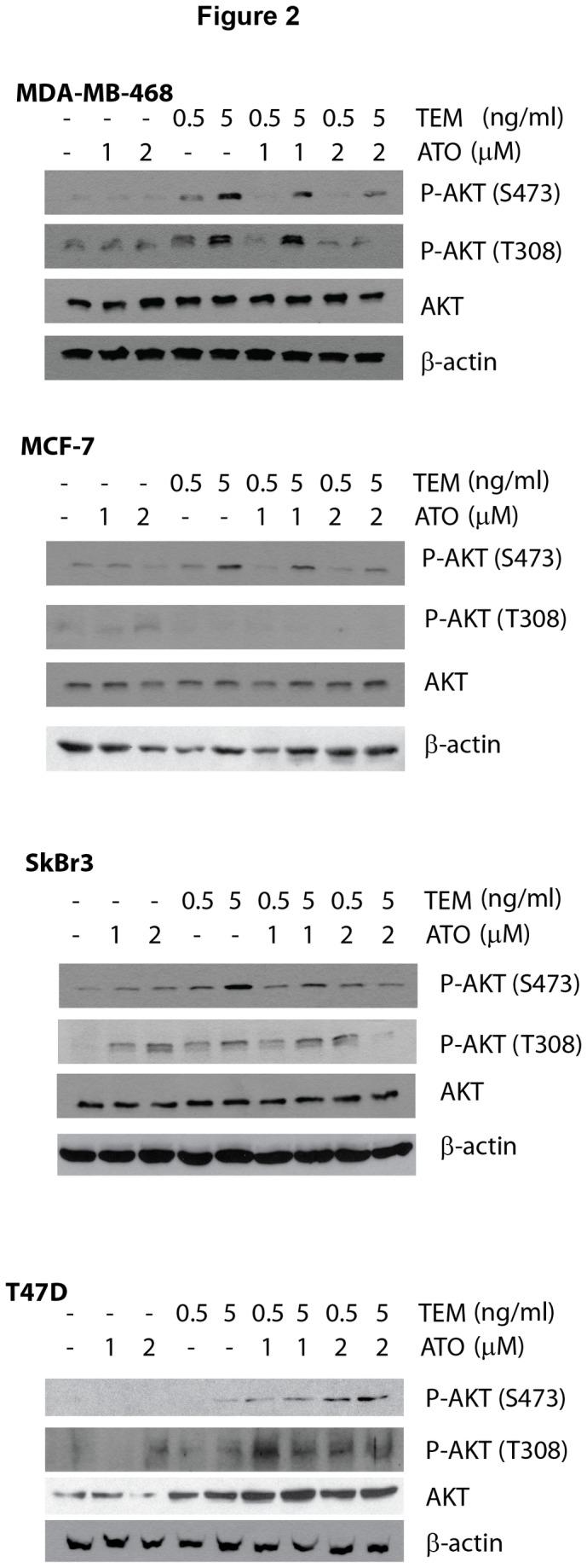https://cdn.ncbi.nlm.nih.gov/pmc/blobs/fd3a/3877392/77b9618c951d/pone.0085995.g002.jpg