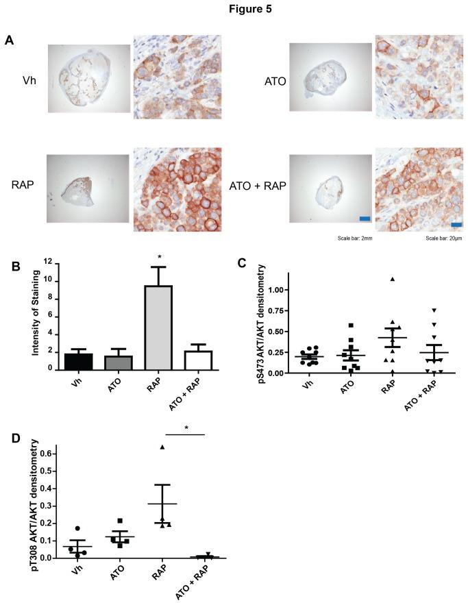 https://cdn.ncbi.nlm.nih.gov/pmc/blobs/fd3a/3877392/7d88950a3e61/pone.0085995.g005.jpg