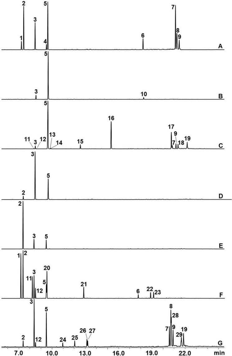 https://cdn.ncbi.nlm.nih.gov/pmc/blobs/fd3b/7889903/1a1016ecd514/41598_2021_83557_Fig1_HTML.jpg