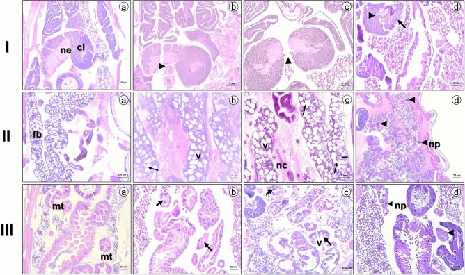 https://cdn.ncbi.nlm.nih.gov/pmc/blobs/fd3b/7889903/351999f9b150/41598_2021_83557_Fig6_HTML.jpg
