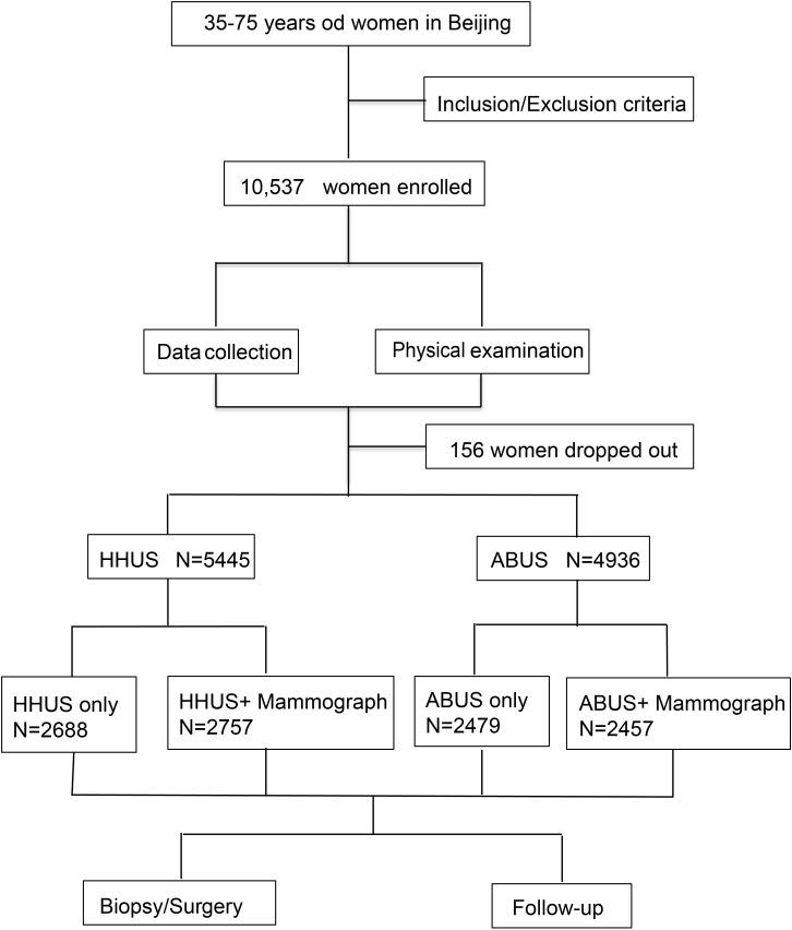 https://cdn.ncbi.nlm.nih.gov/pmc/blobs/fd3f/11790623/9aea81e658c3/fonc-14-1421425-g001.jpg