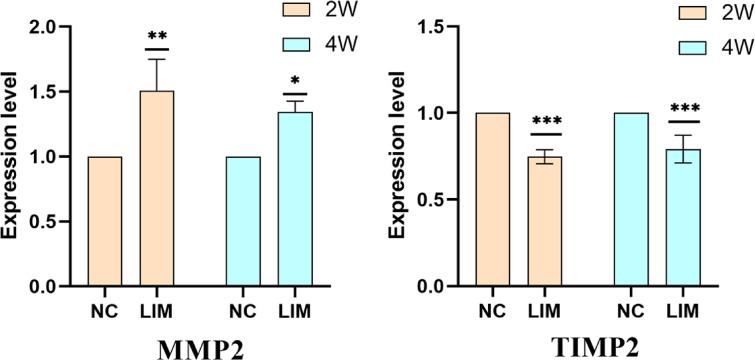 https://cdn.ncbi.nlm.nih.gov/pmc/blobs/fd3f/11992133/9a7b4f6fff41/41598_2025_97643_Fig10_HTML.jpg