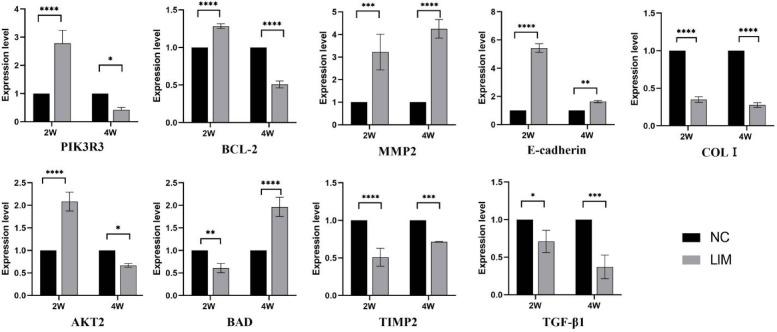 https://cdn.ncbi.nlm.nih.gov/pmc/blobs/fd3f/11992133/e3c82ef8be1d/41598_2025_97643_Fig8_HTML.jpg