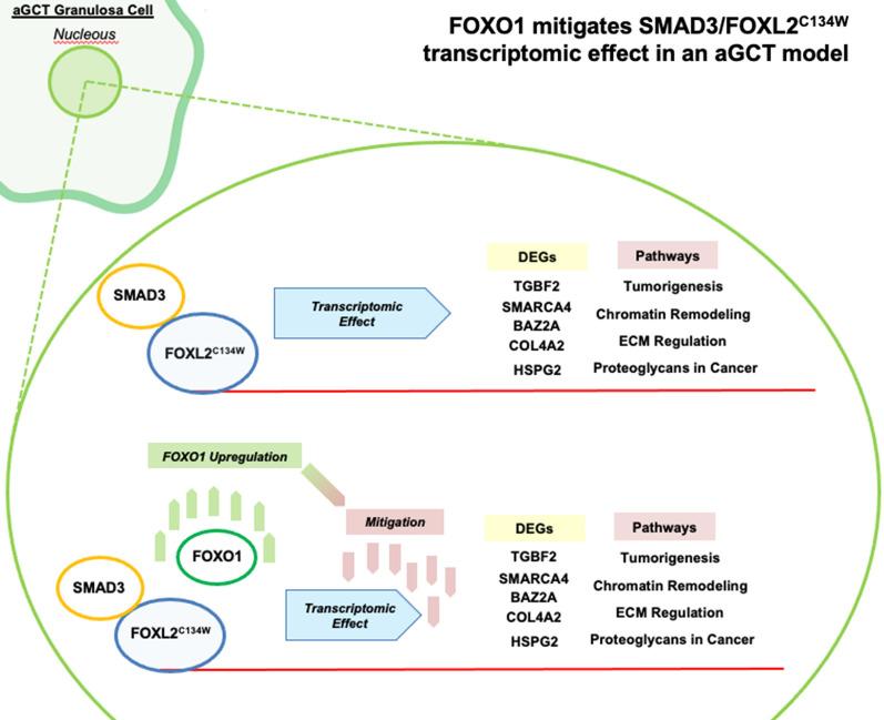 https://cdn.ncbi.nlm.nih.gov/pmc/blobs/fd3f/7913442/979d1729cc6a/12967_2021_2754_Fig5_HTML.jpg