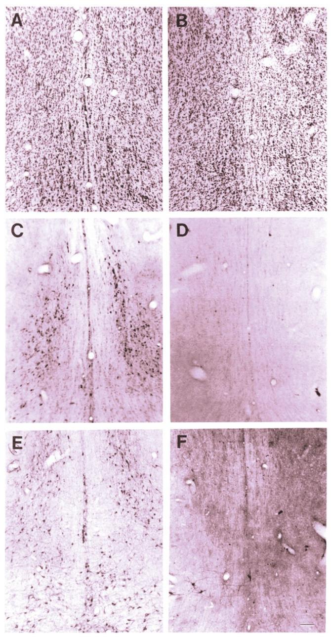 https://cdn.ncbi.nlm.nih.gov/pmc/blobs/fd3f/8952126/f74f65decfb1/toxins-14-00184-g001.jpg