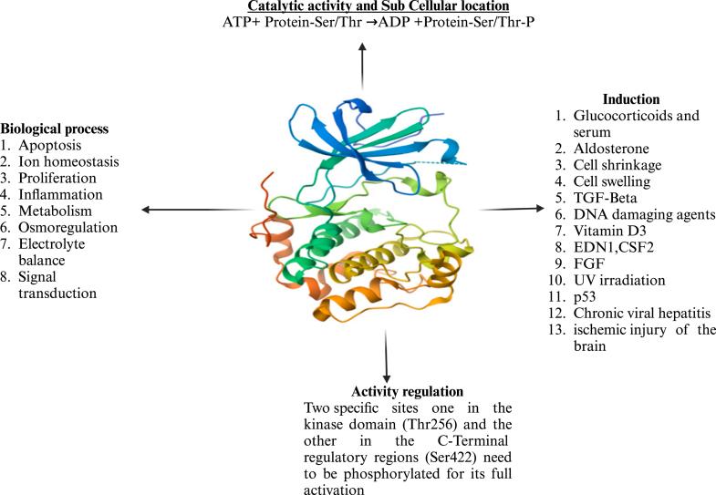 https://cdn.ncbi.nlm.nih.gov/pmc/blobs/fd40/12147618/78ce4c3ca25b/gr1.jpg