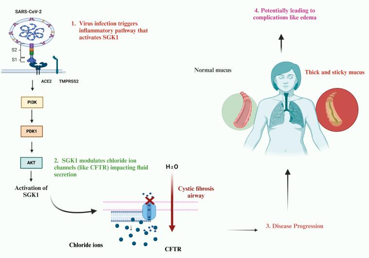 https://cdn.ncbi.nlm.nih.gov/pmc/blobs/fd40/12147618/da39c373bf21/gr4.jpg