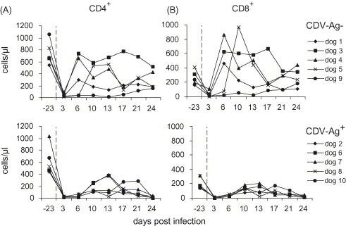 https://cdn.ncbi.nlm.nih.gov/pmc/blobs/fd40/7127010/ccc56552e577/gr3.jpg