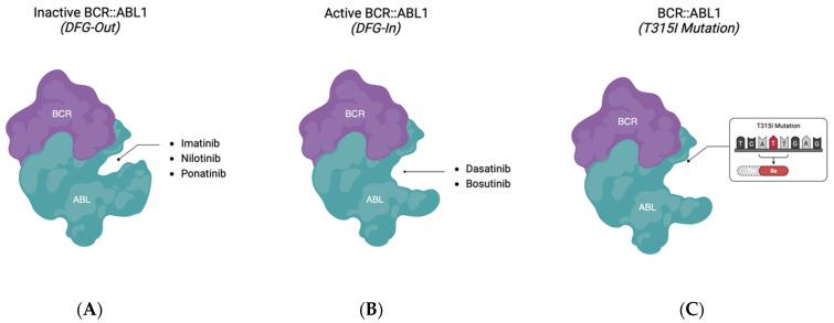 https://cdn.ncbi.nlm.nih.gov/pmc/blobs/fd42/10970269/3a6b716a2b40/ijms-25-03307-g003.jpg