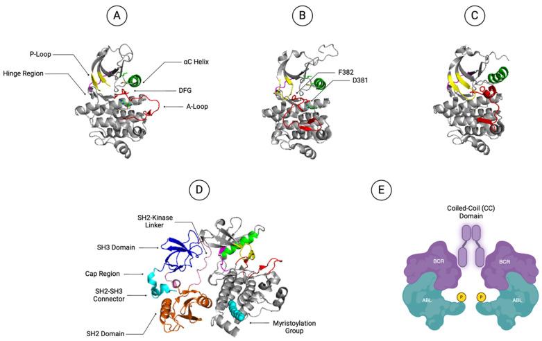 https://cdn.ncbi.nlm.nih.gov/pmc/blobs/fd42/10970269/47f80b2a8768/ijms-25-03307-g002.jpg