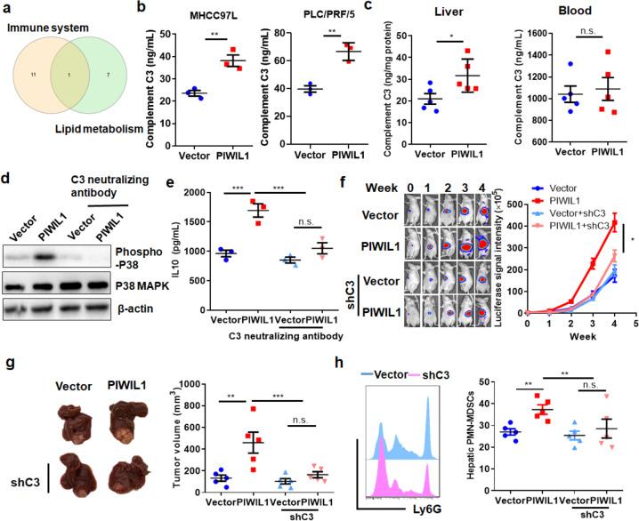 https://cdn.ncbi.nlm.nih.gov/pmc/blobs/fd44/7907082/70f306d18ee3/41392_2021_485_Fig6_HTML.jpg