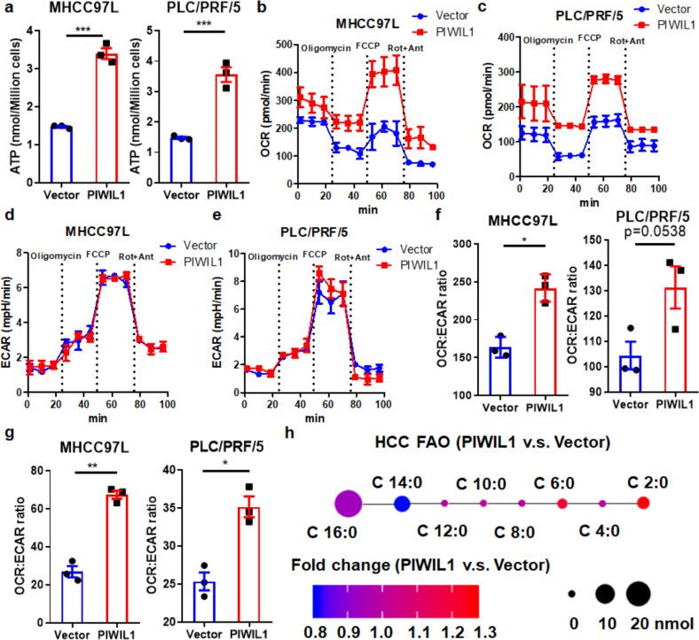https://cdn.ncbi.nlm.nih.gov/pmc/blobs/fd44/7907082/b9a1c46dd436/41392_2021_485_Fig2_HTML.jpg