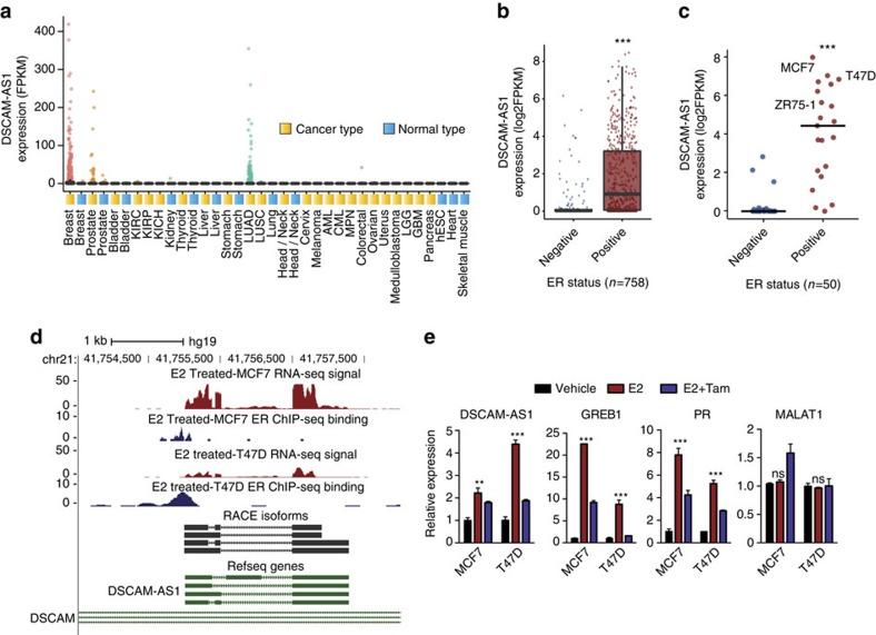 https://cdn.ncbi.nlm.nih.gov/pmc/blobs/fd45/5052669/3fbf8cdc3de1/ncomms12791-f2.jpg