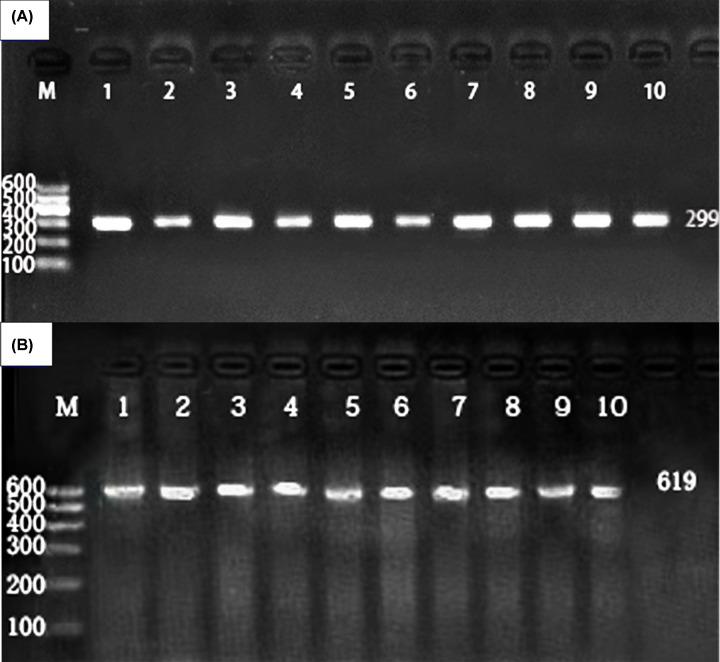 https://cdn.ncbi.nlm.nih.gov/pmc/blobs/fd46/7593538/ec61f1a98dcf/bsr-40-bsr20202628-g1.jpg