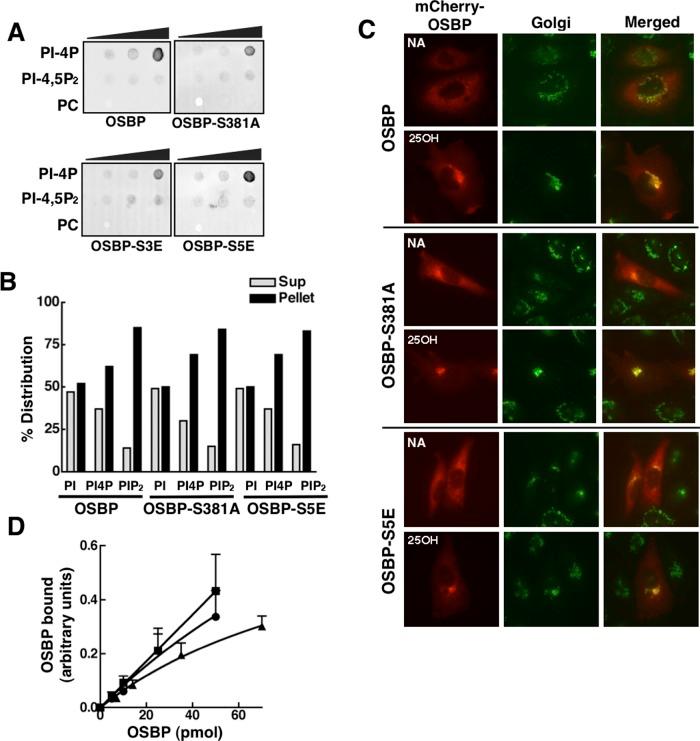 https://cdn.ncbi.nlm.nih.gov/pmc/blobs/fd47/3442410/b257d0e3901e/3624fig4.jpg