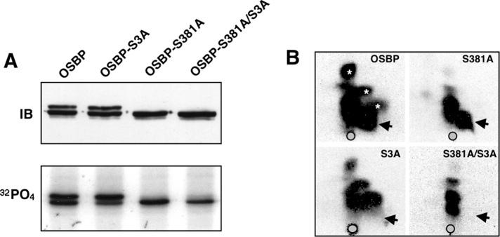 https://cdn.ncbi.nlm.nih.gov/pmc/blobs/fd47/3442410/e20400f9de60/3624fig6.jpg