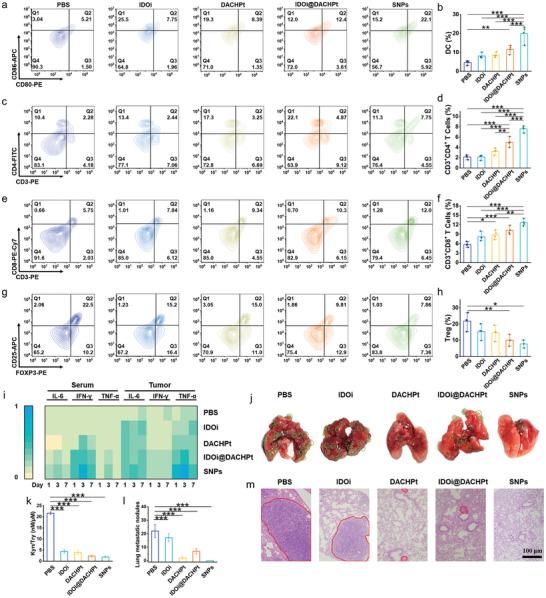 https://cdn.ncbi.nlm.nih.gov/pmc/blobs/fd48/11923969/81129b6efc18/ADVS-12-2408518-g005.jpg